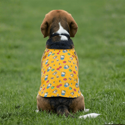 Sunny Paws - Image 3