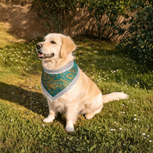 Emerald Paw - Image 2